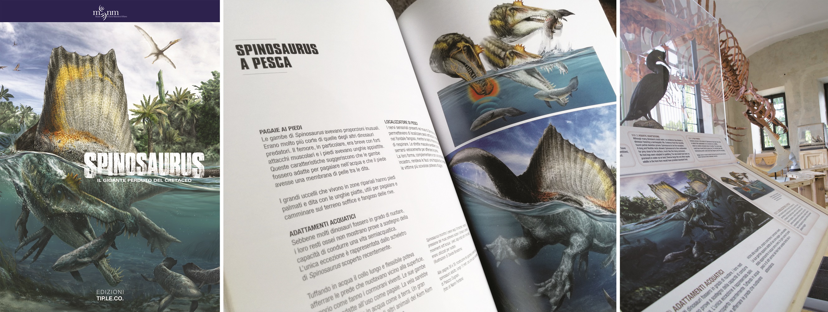 Grafiche e catalogo della mostra Spinosaurus di National Geographic