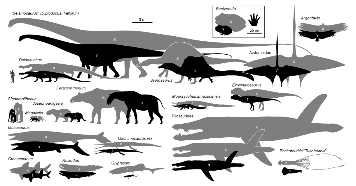 I DINOSAURI ERANO PIÙ PICCOLI